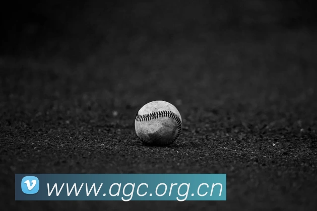 milan登录入口服务体系